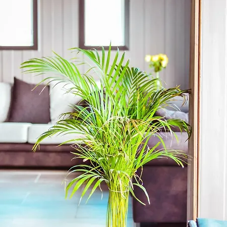 Vossestolen 2* Vossestrand